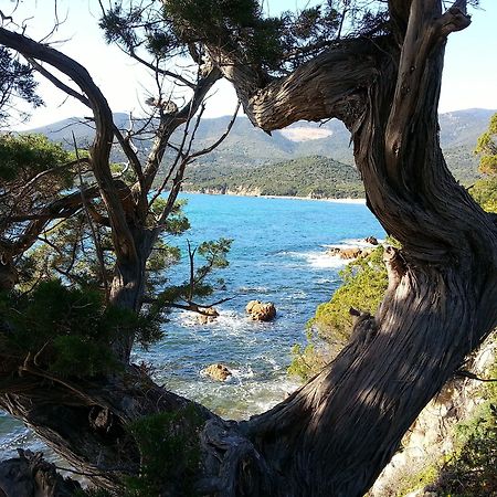 Casa Murina Hotel Ecologique De Charme Serra-di-Ferro  Dış mekan fotoğraf