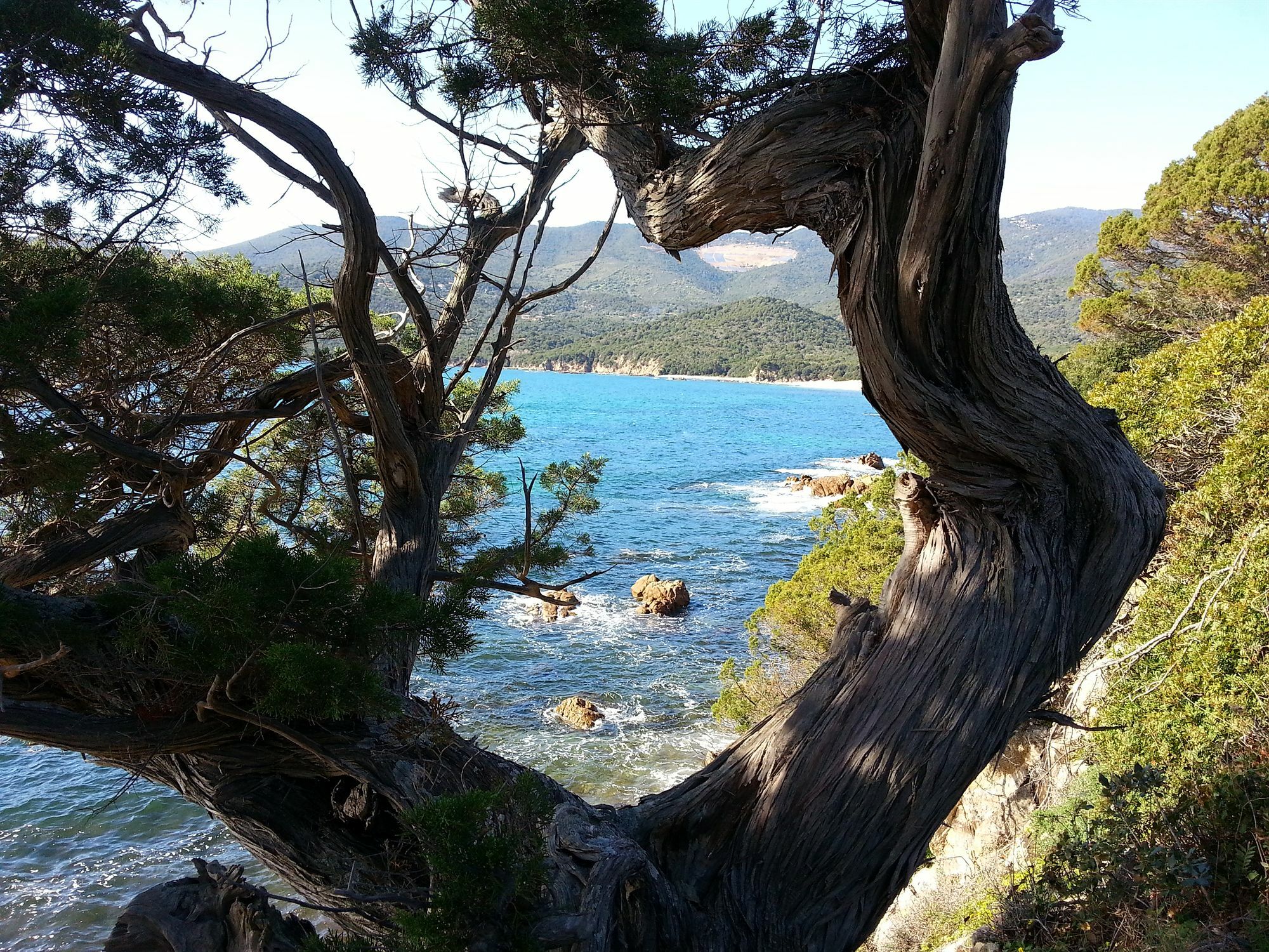 Casa Murina Hotel Ecologique De Charme Serra-di-Ferro  Dış mekan fotoğraf